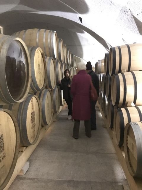 From Porto: Private Douro Valley Tour with Cruise and Wine - Optional Cruise on the Douro: When You Want Unhurried Views