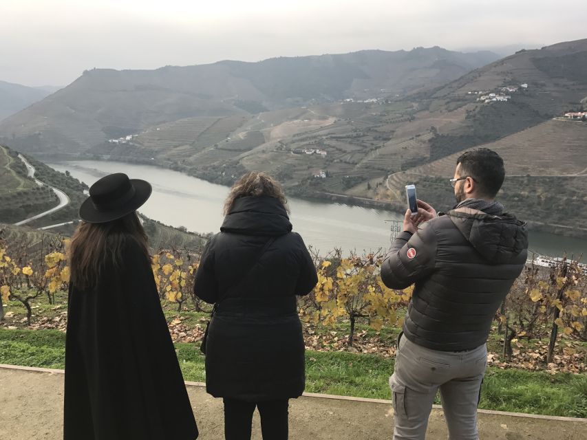 From Porto: Private Douro Valley Tour with Cruise and Wine - Two Wineries, Two Different Experiences