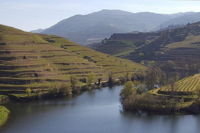 From Porto Private Tour Douro Valley two Wineries, Lunch and Boat. - Getting from Porto into the Douro: the morning flow