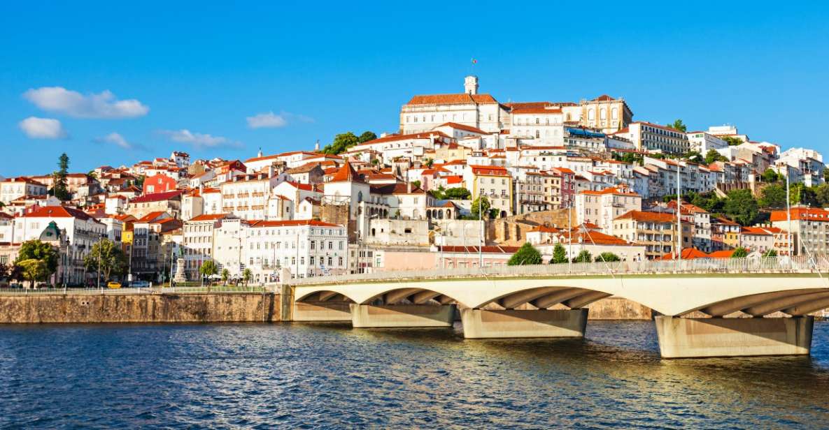 From Porto: Sanctuary of Fatima & Coimbra Private Day Trip - The Pace, Breaks, and Shopping Time That Make a Private Day Feel Real