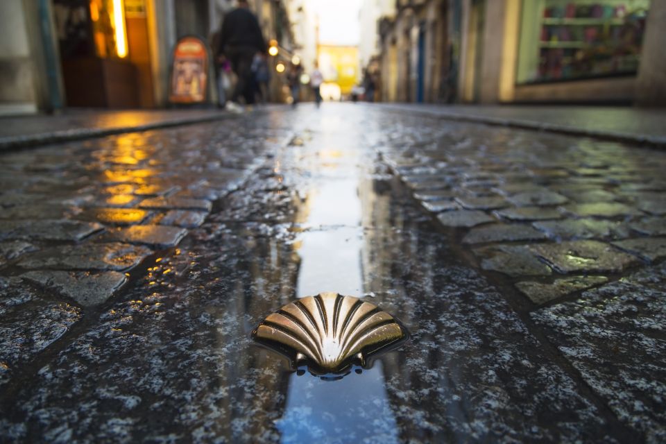 From Porto: Santiago de Compostela Full Day Tour - Santiago Free Time and the Pilgrim Mass: Plan Your Hour