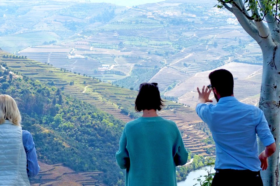 From Porto: Small-Group Douro Valley Wine Tour Lunch & Boat - Pinhão and a family winery tasting DOC Douro wines