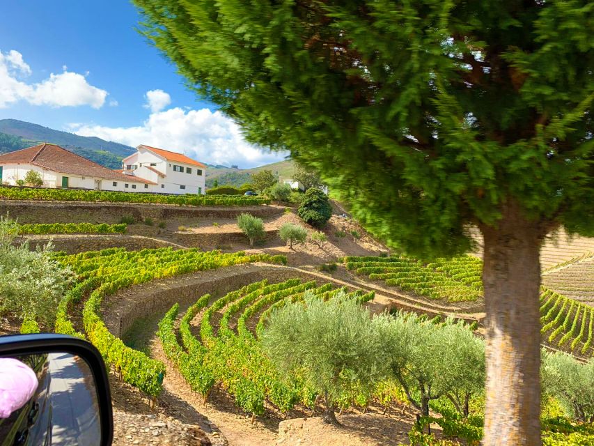 From Porto: Small-Group Douro Valley Wine Tour Lunch & Boat - A private Douro cruise from Cais de Bagaúste (with snacks)