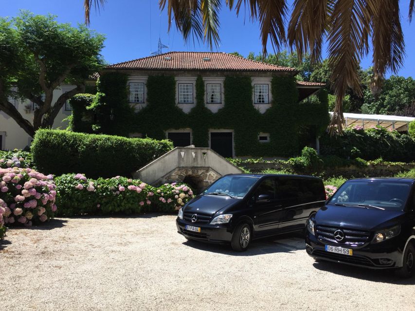 From Porto: Small-Group Douro Valley Wine Tour Lunch & Boat - Wine tastings, Port, and what you should (and shouldn’t) expect
