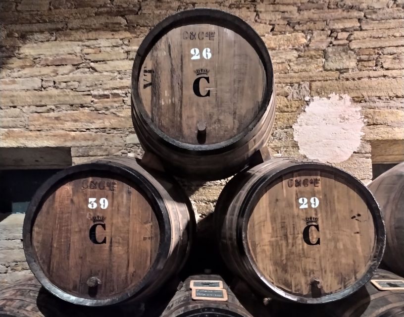 From Porto: Small-Group Douro Valley Wine Tour Lunch & Boat - Guides, conversation, and the small moments that matter