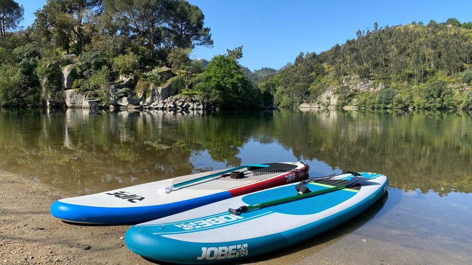 From Porto: SUP Paiva River Tour with Transfer - Porto transfer to Ilha dos Amores: the start that sets the tone