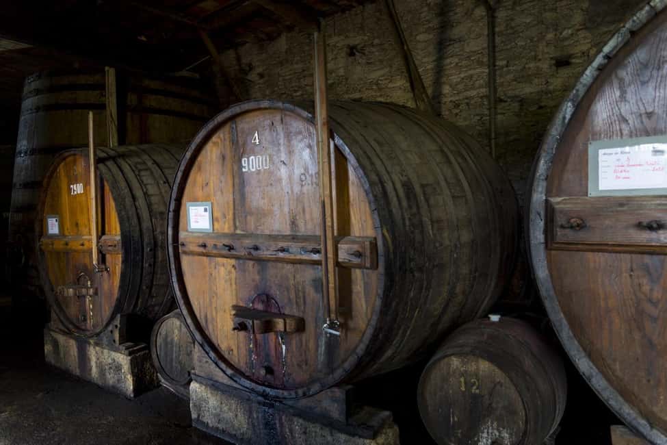 From Porto: Wine Tasting with Lunch at a Quinta, Cruise, and Train Ride - Key Things to Know Before You Go