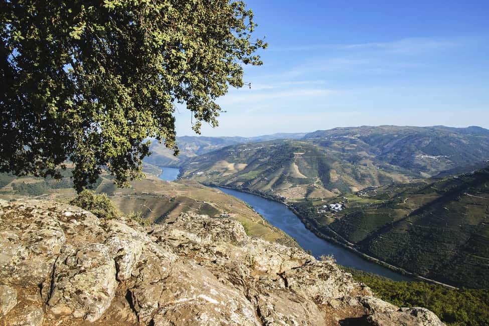 From Porto: Wine Tasting with Lunch at a Quinta, Cruise, and Train Ride - Group Size, Language, and the Style of the Day