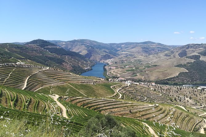 Full-Day Porto and Douro Valley Private Wine Tour with Lunch - Porto–Douro Private Day: Why This Itinerary Feels Efficient