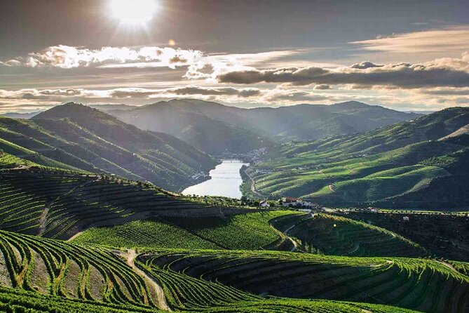 Full day Tour to Douro Valley from Porto - Meeting at Igreja da Lapa and planning your ride