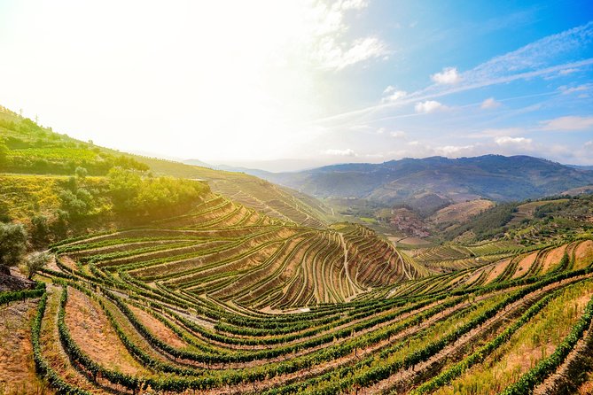 Full Day, Wine Tasting, River Cruise and Lunch from Porto - Key things to know before you go