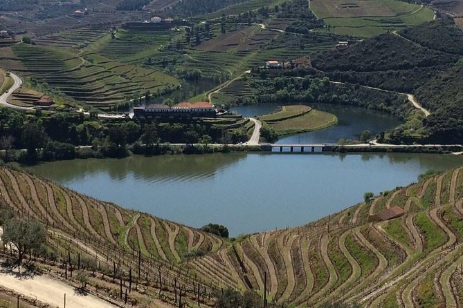 Full Day, Wine Tasting, River Cruise and Lunch from Porto - Wine Stops and Tasting Time: How to Get More Out of It