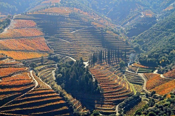 Full Day, Wine Tasting, River Cruise and Lunch from Porto - Getting There from Porto and Back: The Real Logistics