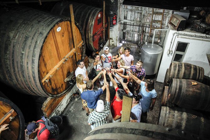 Genuine Douro Valley Tour: Visit 2 Wineries, Lunch & River Cruise - Stops, Viewpoints, and Photo Timing: How the Day Flows