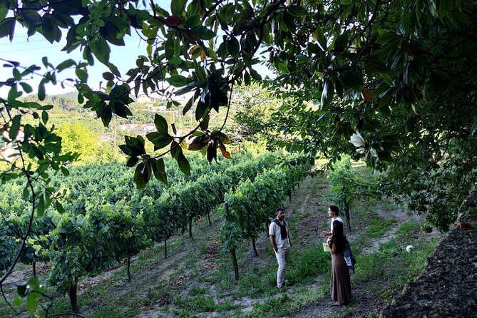 Guimarães & Braga Port Private Tour with Lunch and Green Wine - Castelo de Guimarães and the Dukes of Bragança: the view is half the reward