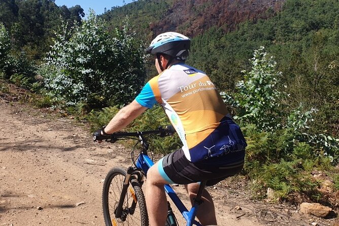 Half day Mountain Bike Tour in Porto - Your Bike Setup: Trek Hard-Tail MTB, Gears, and Optional E-Bike
