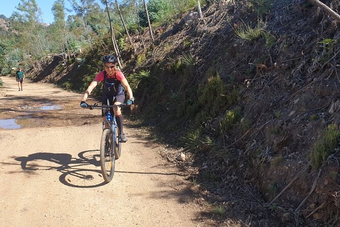 Half day Mountain Bike Tour in Porto - Guides Matter Here: Telmo, Filipi, and João Keep It Safe and Fun