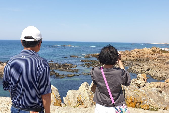 Half Day Porto & Beach Side Small-Group Tour- Different Tastings - Douro to Atlantic: Foz do Douro and Farolim de Felgueiras