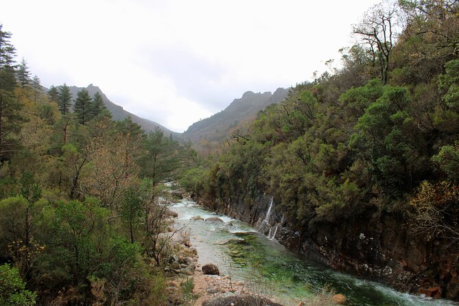 Hidden Gems of Peneda-Gerês National Park on a Full-Day Tour - How the Hike Fits Your Fitness Level (Without Pretending It’s Easy)