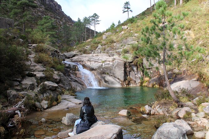 Hidden Gems of Peneda-Gerês National Park on a Full-Day Tour - The Road Trip Start: Scenic Drives and Real Breaks