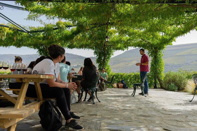 HIKING in the Douro Valley - Food, wine, and the picnic question you should confirm