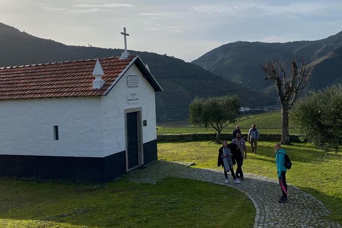 HIKING in the Douro Valley - Guides like André, Juoan, and Adriano make the day