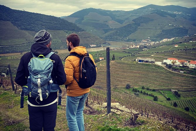 HIKING in the Douro Valley - The main event: a 4-hour hike through the Douro vineyards
