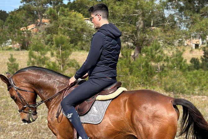 Horse Riding in the Countryside - Key highlights to look for