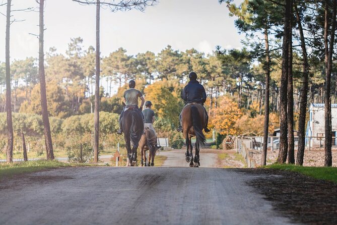Horse Riding in the Countryside - First Steps at Rua Engenheiro Vasco Leonidas