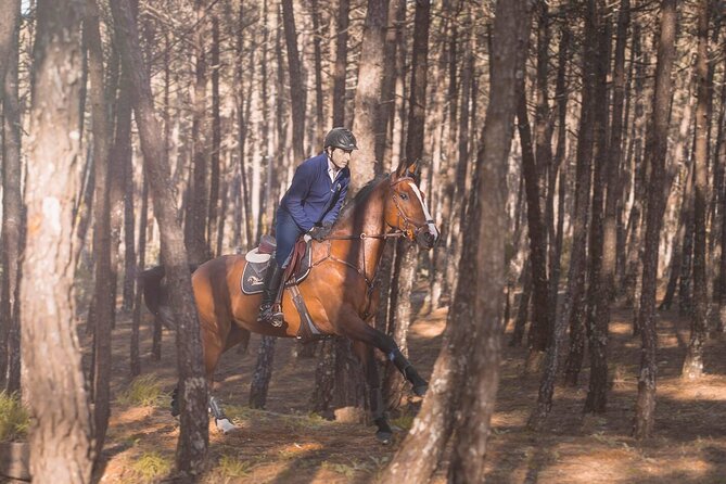 Horse Riding in the Countryside - What Happens Before and After the Ride