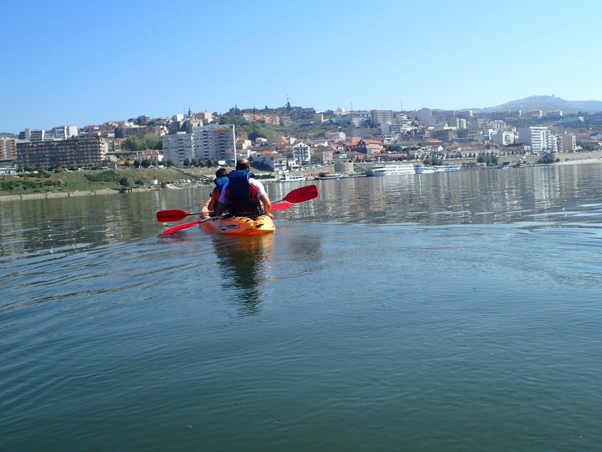 Kayak - Douro Valley - Key things you’ll notice on this Douro kayak trip