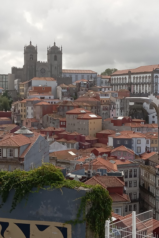 Monumental and historical Oporto with the Stock Exchange Palace - Key Things You’ll Notice on This Tour