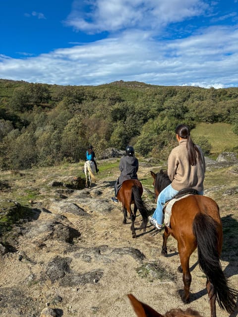Mountain Horseback Ride & Lunch - Mountain Horseback Ride & Lunch: Key Highlights