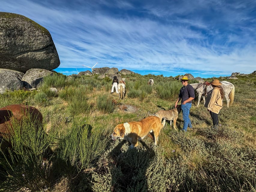 Mountain Horseback Ride & Lunch - Douro Valley Mountains, but Make It Slow and Scenic
