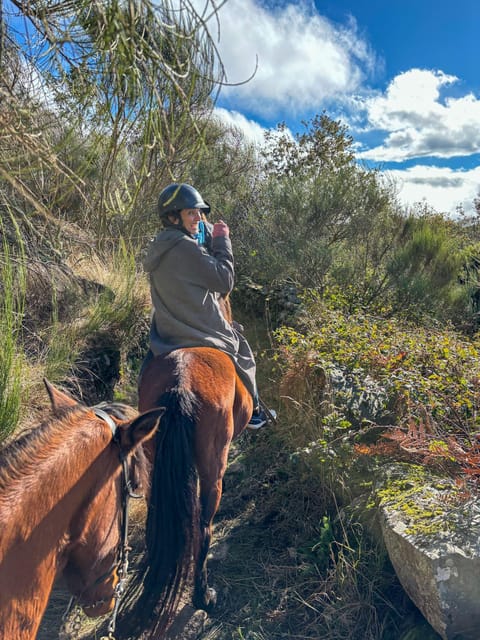 Mountain Horseback Ride & Lunch - Lunch in the Heart of the Forest: Farm-to-Table Meat You’ll Actually Remember