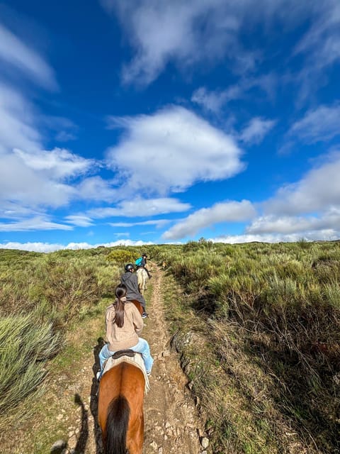 Mountain Horseback Ride & Lunch - Wine Tasting for 100 Minutes: Time to Choose What You Like