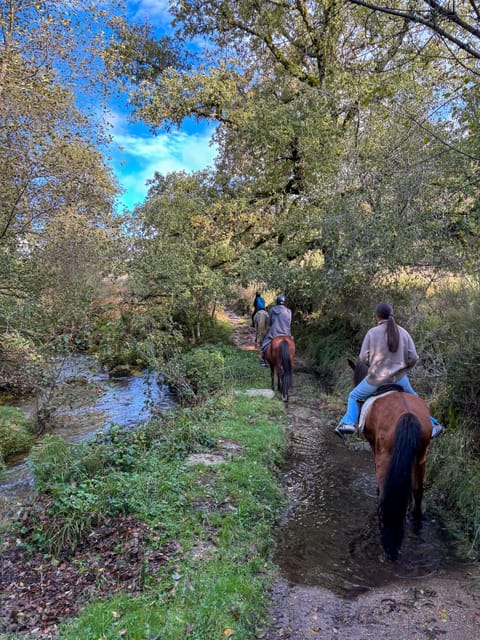 Mountain Horseback Ride & Lunch - Seasonal Truth: Summer Shine vs. Winter Rain