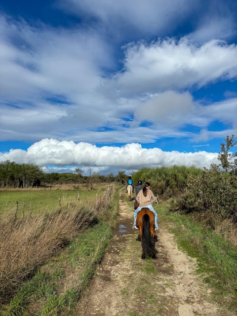 Mountain Horseback Ride & Lunch - Who This Tour Suits Best (and Who Should Consider Alternatives)