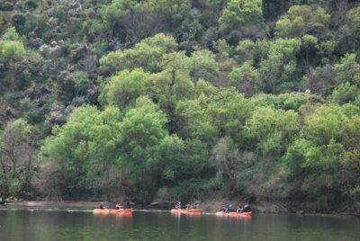 Pinhão: 4 Hour Douro Valley Kayak Rental - The 4-hour rhythm on the Duoro