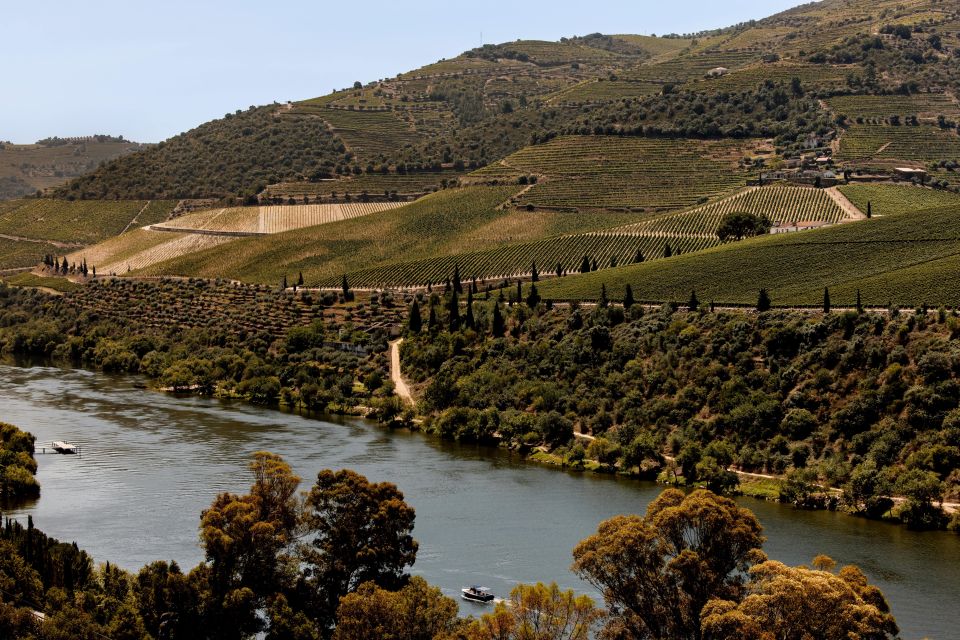 Pinhão: Douro River Boat Tour with Lunch - Lunch in a Traditional Restaurant: Big Portions and Douro Comfort Food