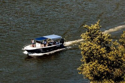 Pinhão: Douro River Cruise with Lunch Included - The 1h15 Douro Boat Ride: Small Group, Big Views