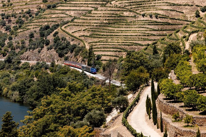 Pinhão: Douro River Cruise with Lunch Included - The Train Back to Pinhão: A Second Look at the Same River