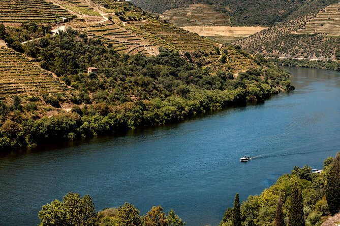Pinhão: Douro River Cruise with Lunch Included - Price and Value: What You’re Really Paying For