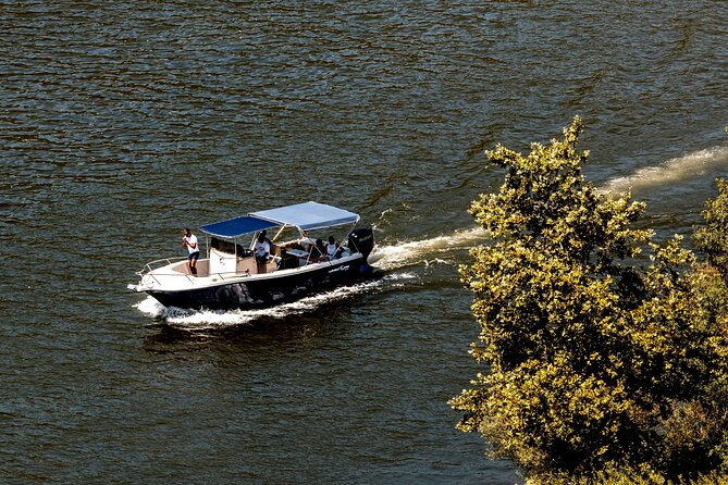 Pinhão: Douro River Cruise with Lunch Included - The 1h15 Douro Boat Ride: Small Group, Big Views