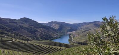 Pinhão: Douro Valley with Wine Tasting, Boat Trip and Lunch - Meeting at Douro.Tours and riding in comfort