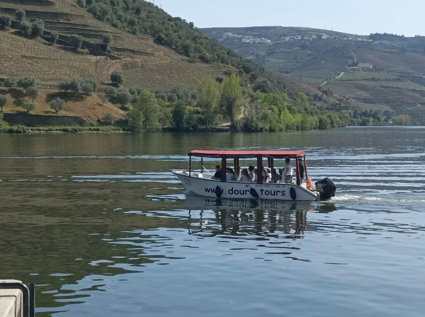 Pinhão: Douro Valley with Wine Tasting, Boat Trip and Lunch - Quinta stop #1: Port and DOC Douro tasting with production context