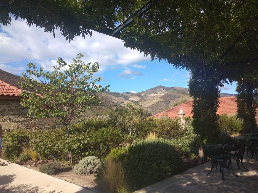 Pinhão: Douro Valley with Wine Tasting, Boat Trip and Lunch - Lunch in Pinhão: the kind of meal that teaches the region