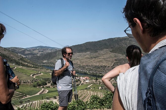 Pinhão Hiking Tour - Quick hits on the Pinhão Hiking Tour