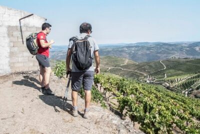 Pinhão Hiking Tour - Meeting at the train station: getting oriented fast