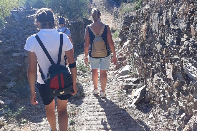 Pinhão Hiking Tour - Guide Antonio’s style: wine talk that connects to the path
